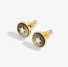 Joma Jewellery Perla Abalone Pearl Star Stud Earrings