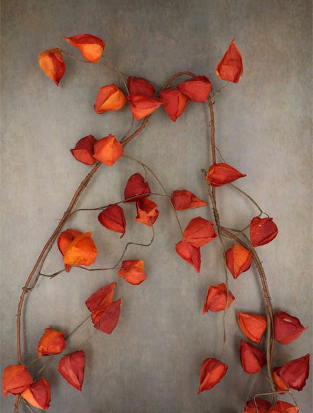 Gisela Graham Orange Physalis Garland