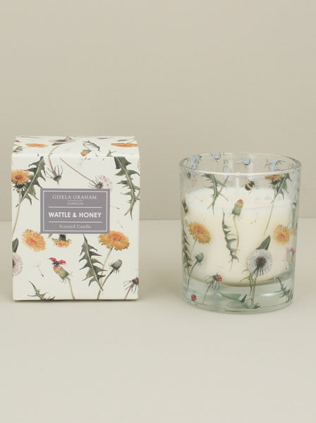 Gisela Graham Dandelion & Insects Scented Candle