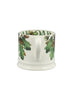 Emma Bridgewater Oak & Acorn Small Mug