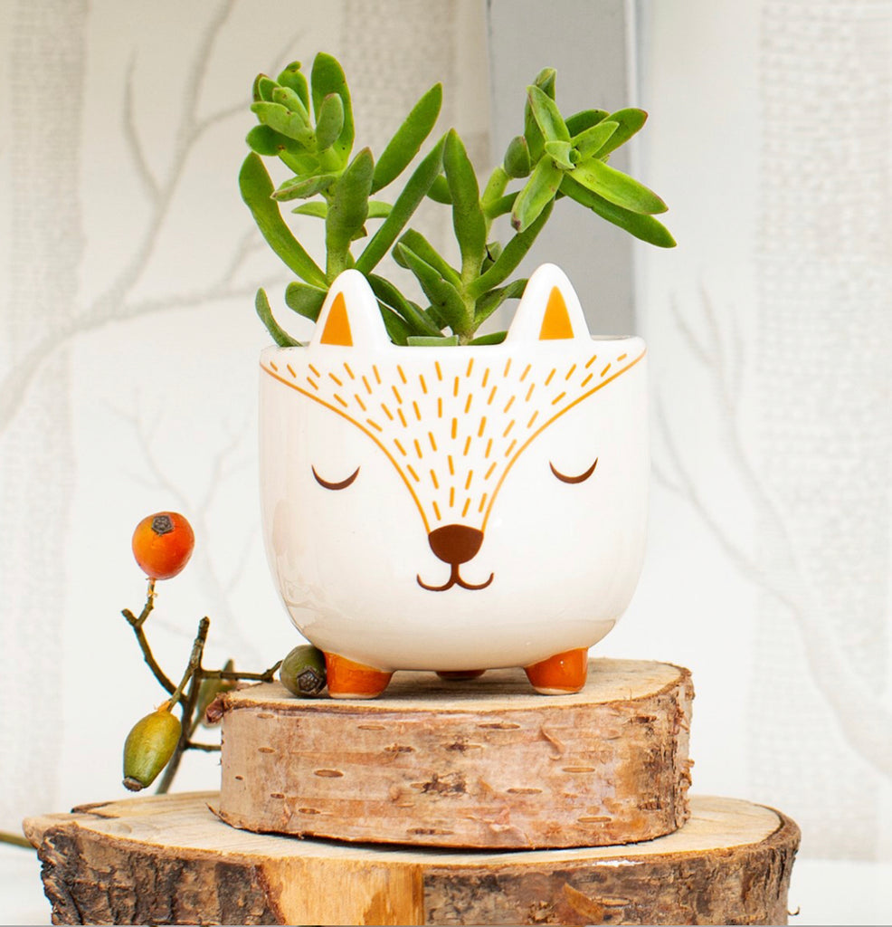 Woodland Fox Mini Planter