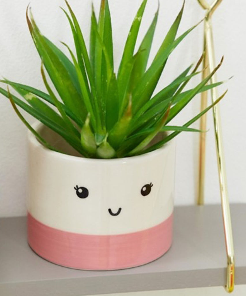 Sass & Belle Mini Pink Face Planter