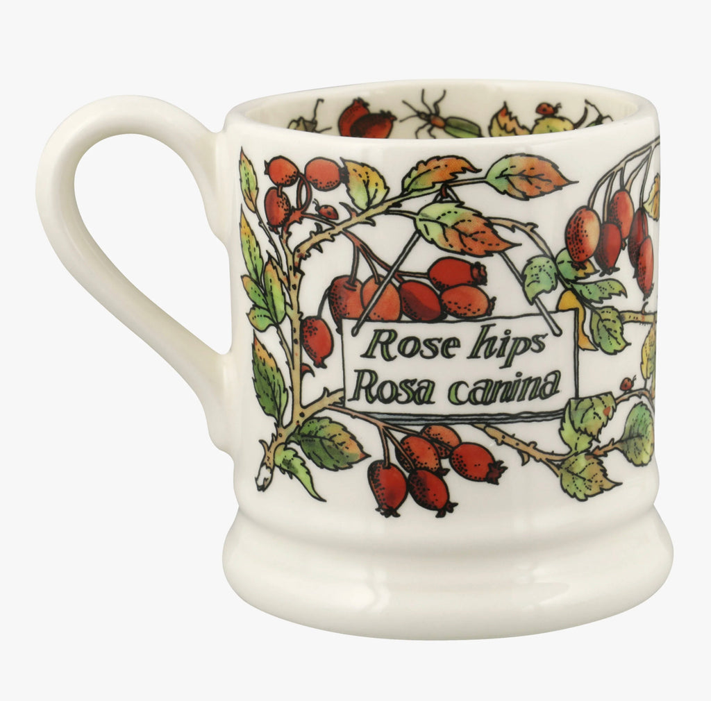 Emma Bridgewater Rosehip & Robin 1/2 Pint Mug